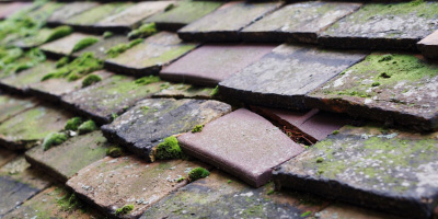 Ballater roof repair costs